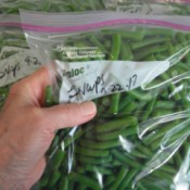A ziplop bag of string beans, ready for the freezer.