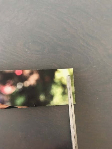 Recycled Catalog Flowers - cut narrow slits toward the center fold