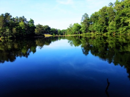 A beautiful stretch of blue water surrounded by green trees.