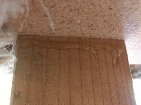 Refinishing a Cat Tree