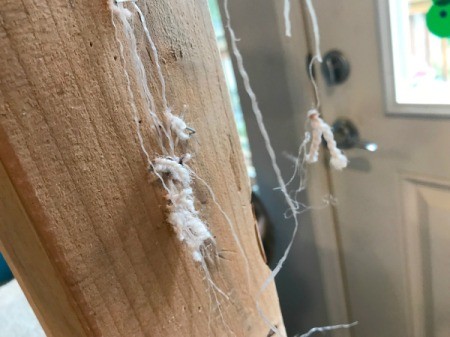 Refinishing a Cat Tree - use pliers to remove staples