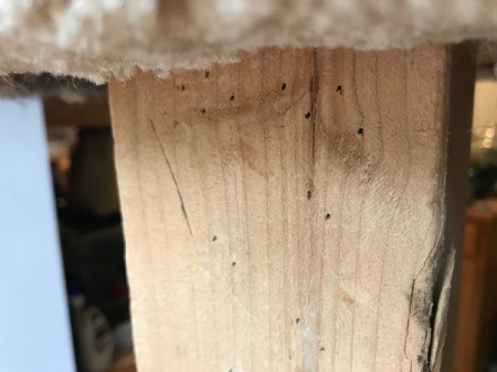 Refinishing a Cat Tree - staple holes