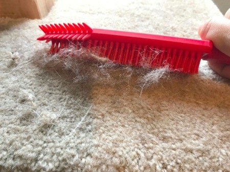 Refinishing a Cat Tree - brushing up hair