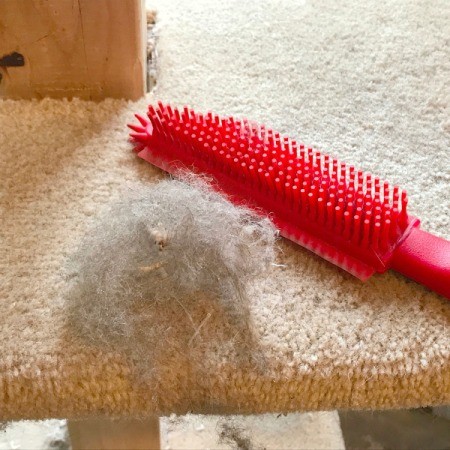 Refinishing a Cat Tree - puff of hair