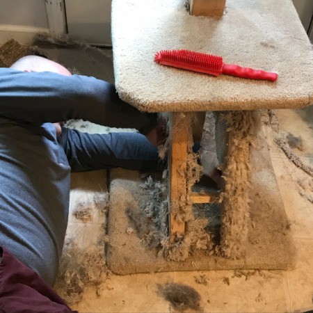 Refinishing a Cat Tree - removing carpet from the base