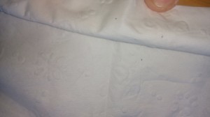 Getting Rid of Tiny Black Biting Bugs - black specks on white fabric