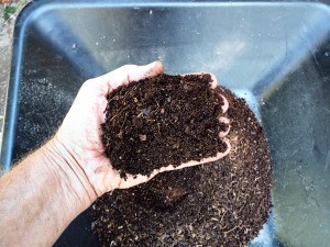 Free Houseplant Soil - hand holding dark leaf compost