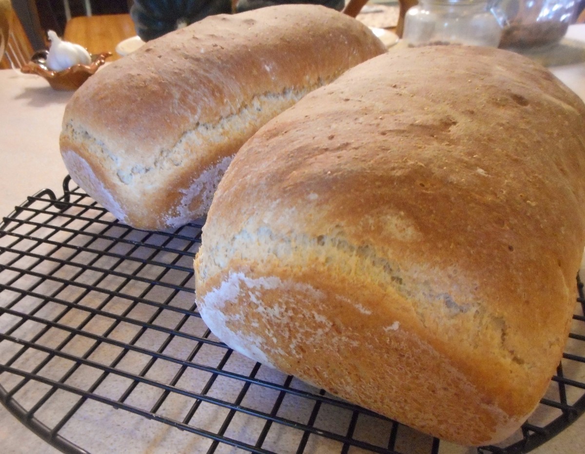 Whole Wheat Bread ThriftyFun