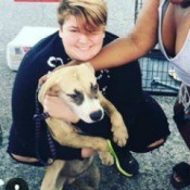 Helping a Stressed Rescue Dog