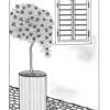 View on the Garden Adult Coloring Page - potted shrub against wall with shuttered window