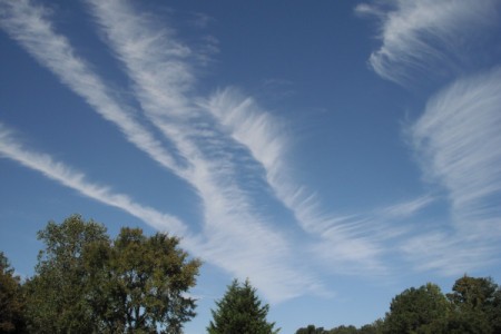 A sky full of streaks of white clouds.