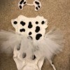 A dalmation puppy costume for a baby, with a onesie, a tutu and a headband with ears.