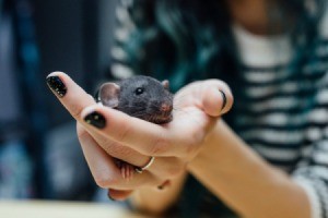 Woman Holding Mouse