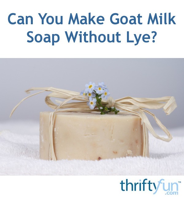 can-you-make-goat-milk-soap-without-lye-thriftyfun