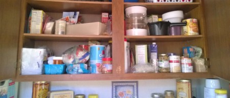 Plastic Food Containers to the Rescue! - before