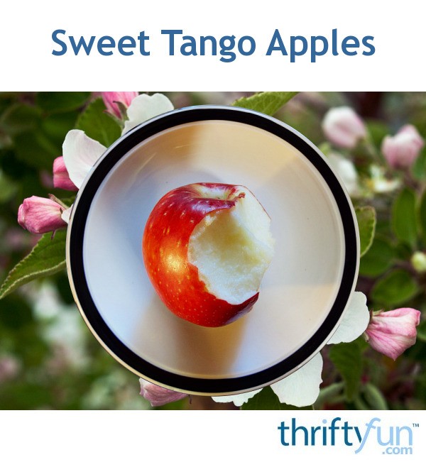Sweet Tango Apples ThriftyFun