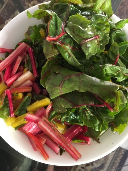 cut chard