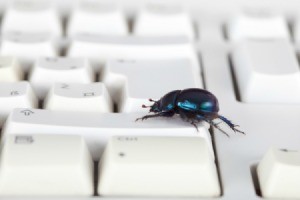 Beetle on Keyboard