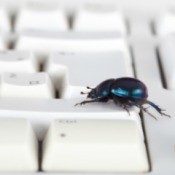 Beetle on Keyboard