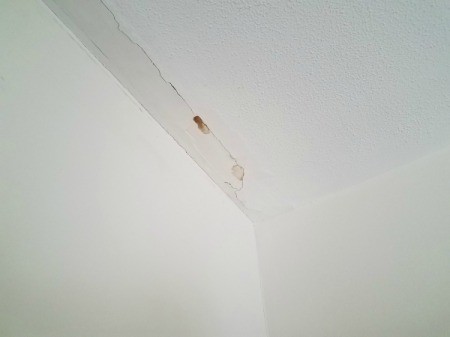 Repairing A Ceiling Thriftyfun