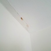 Cracked White Ceiling