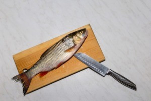Fish on Cutting Board