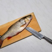 Fish on Cutting Board