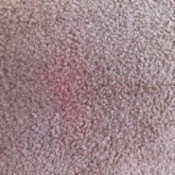 Removing a Red Kool Aid Stain from Carpet - tan carpet with red stain