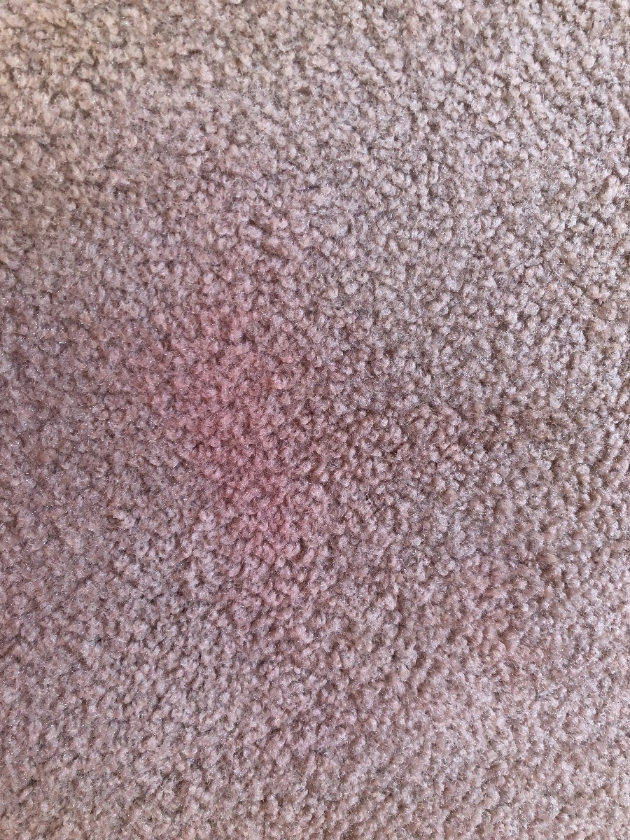 Cleaning Kool Aid Stains From Carpet Thriftyfun