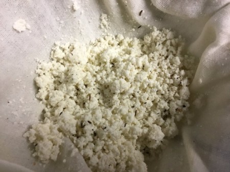 spiced cheese in cheesecloth