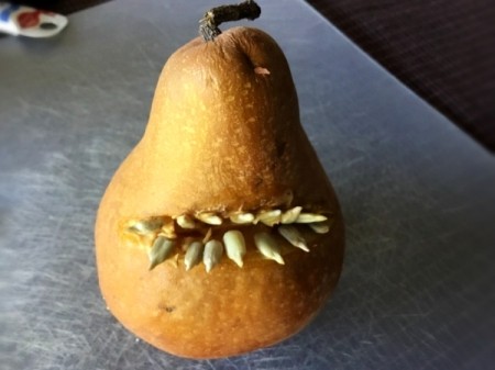 Fruit Monsters - repeat with the pear but use sunflower seed for fangs