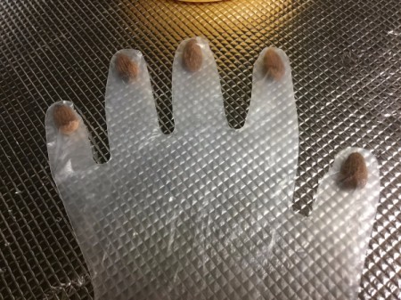"Handy" Snacks - place almonds in the tips of the glove fingers