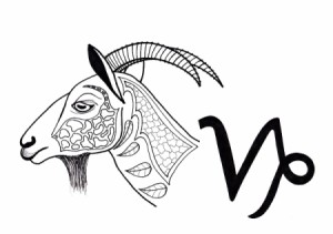 Capricorn Adult Coloring Page