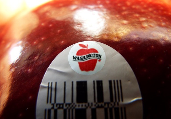 A Red Delicious apple with a Washington sticker.