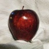 A Red Delicious apple on a white cloth.
