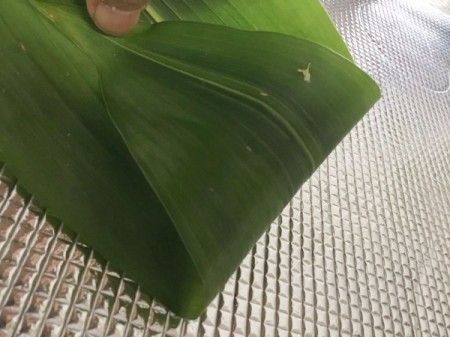 Traditional Leaf Bowl - fold ends of the leaf inwards