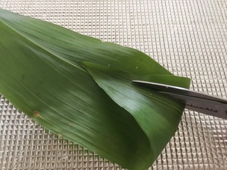 Traditional Leaf Bowl - cut two slits on each end of the leaf