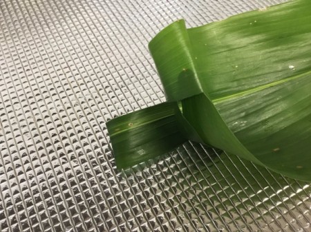 Traditional Leaf Bowl - keep middle tab down and insert one tab into the other