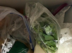 Freezing Green Onions - bag and freeze