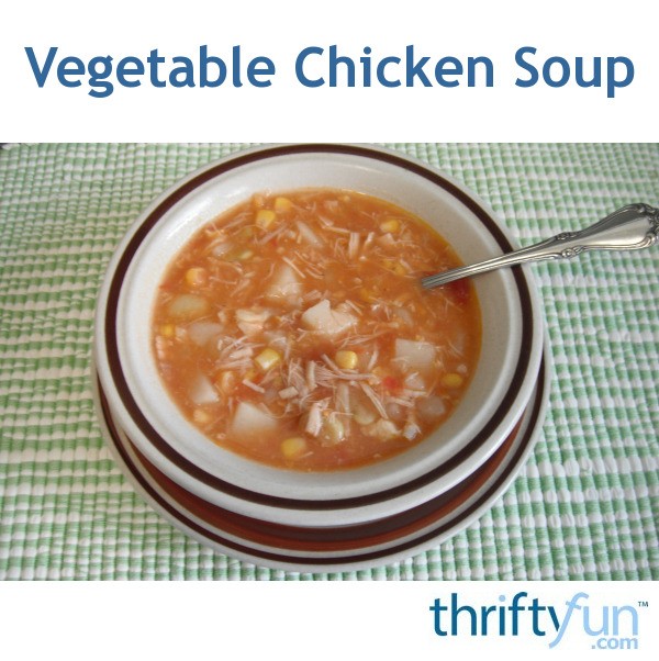 Vegetable Chicken Soup | ThriftyFun