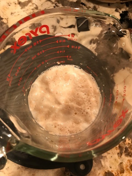 yeast growing in measuring cup