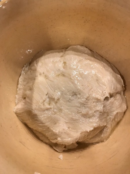 mixed dough ready to rise