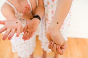Girls with Ladybugs on Their Arms