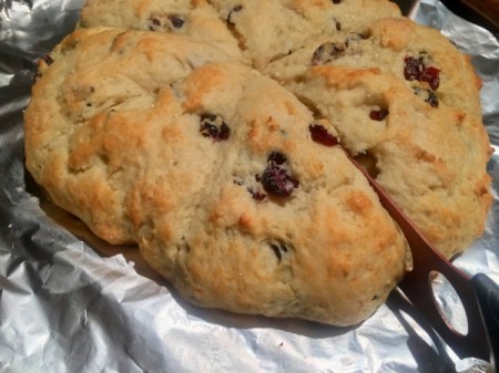 baked Cranberry Eggnog Scones