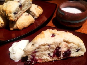 Cranberry Eggnog Scone on plate with clotted cream