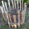 A garden plot made with an old tire and bamboo fencing.
