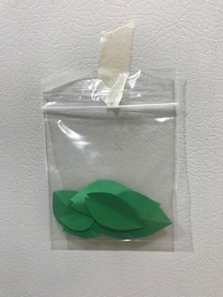 Thankful Tree - zip lock bag of leaves