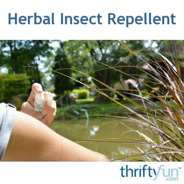 Herbal Insect Repellent ThriftyFun