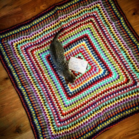 Tiger Lily (Tabby) - looking down on kitten on afghan