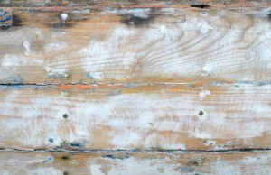 Painted Wood Floor